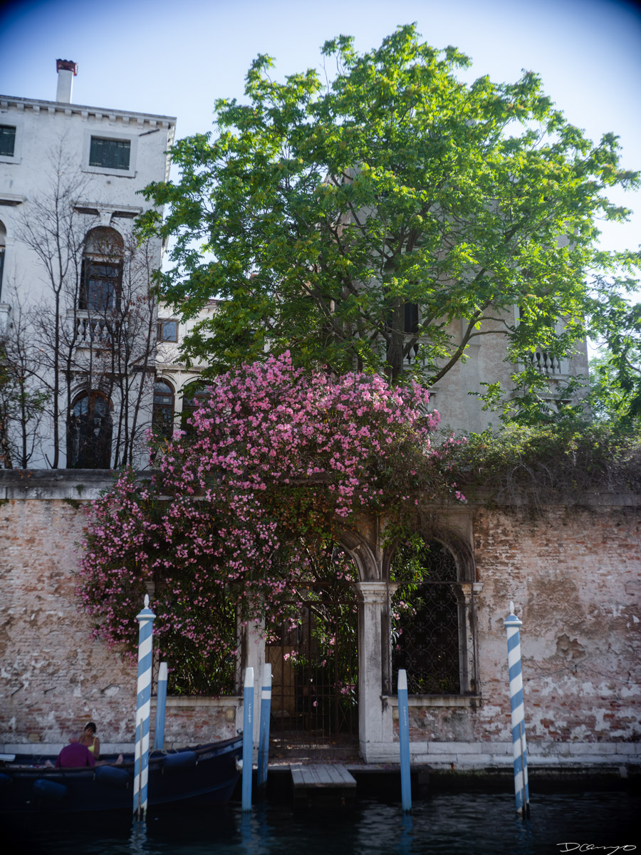Photos from a trip through Italy in Summer of 2023. Locations include Rome, Florence, Tuscany, Castello di Bossi in Chianti, Siena, San Gimignano, Sirmione on Lake Garda, Bologna, Gudon, Italian Dolomites, Seceda, Cadini di Misurina, and Venice.